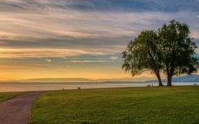 Sonnenuntergangsblick über den Bodensee vom Stadtpark Arbon mit großem Baum auf grüner Wiese, gepflastertem Weg und dramatischem Himmel.