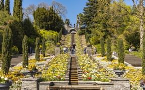 Formale Terrassengärten auf der Insel Mainau mit Steintreppen durch bunte Blumenbeete mit gelben und weißen Blüten, gesäumt von Zypressen.