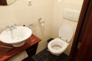 Kompaktes Badezimmer auf SIMMER FAN FRYSLÂN mit weißer Toilette, rundem Waschbecken auf Holztheke, beigen Wandfliesen und dunklen Bodenfliesen.