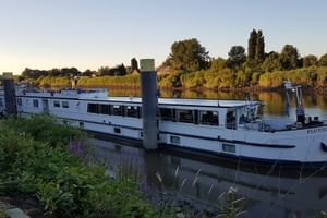 Weißes Flusskreuzfahrtschiff MS Fluvius am grünen Flussufer bei Sonnenuntergang. Bäume und Vegetation säumen das gegenüberliegende Ufer.