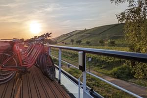 Reihe roter Fahrräder auf dem Holz-Sonnendeck der MS Olympia mit weißem Geländer, mit Blick auf Weinberghügel bei Sonnenuntergang.