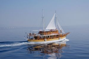 Schiff MS Planka
