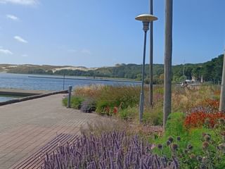 Holzpromenade entlang eines Hafens in Litauen mit bunten Blumenbeeten, Laternen und Seeblick mit bewaldeten Hügeln im Hintergrund.