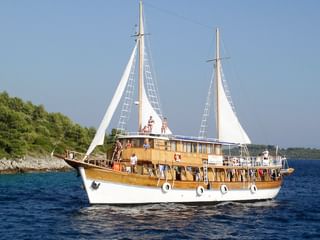Segelschiff Aneta