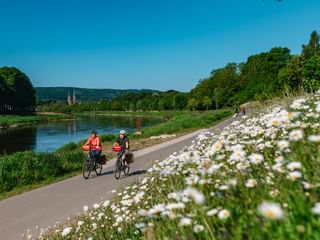 Zwei Radfahrer auf befestigtem Weg entlang der Weser bei Höxter. Weiße Gänseblümchen blühen im Vordergrund, Kirchtürme in der Ferne.