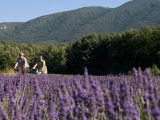 Fahrradurlaub Provence
