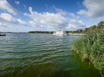 Blick auf den Zwischenahner Meer mit weißen Fahrgastschiffen, Schilf im Vordergrund, bewaldetes Ufer und blauer Himmel mit Wolken.