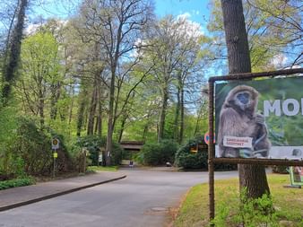 Zufahrtsstraße zum Waldzoo Bad Bederkesa mit großem Schild mit Gibbon und dem Wort 'MOIN'. Bäume säumen den asphaltierten Weg unter blauem Himmel.