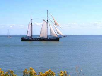Traditionelles zweimastige Segelschiff mit braunen Segeln auf ruhigem blauen Wasser des IJsselmeers. Gelbe Blumen im Vordergrund.