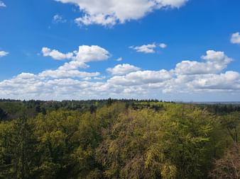 Weite Landschaftsansicht bei Bad Bederkesa mit dichtem Wald in Frühlingsfarben unter blauem Himmel mit weißen Wolken im April.
