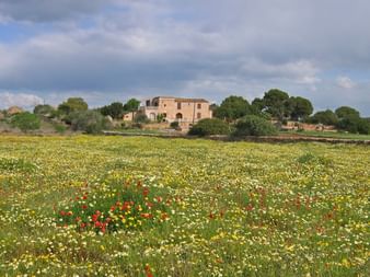 Radreise Mallorca