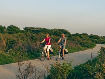 Zwei Radfahrer auf einem gewundenen asphaltierten Weg durch grüne Landschaft bei Deventer. Dichte Vegetation und Bäume säumen beide Seiten.