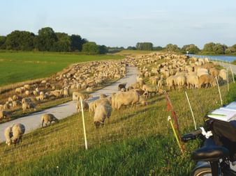 Radurlaub Wendland