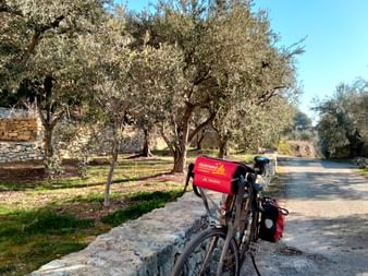 Saisonvorbereitung Provence