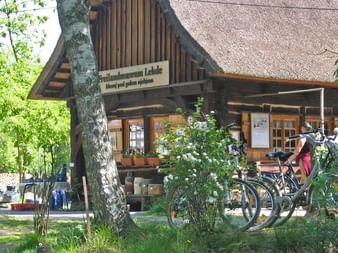 Radreise Spreewald