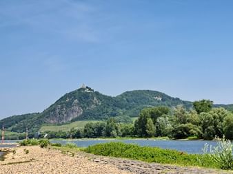 Blick über den Rhein bei Bonn mit sandigem Ufer im Vordergrund und grünem bewaldeten Drachenfels mit Burgruine unter blauem Himmel.