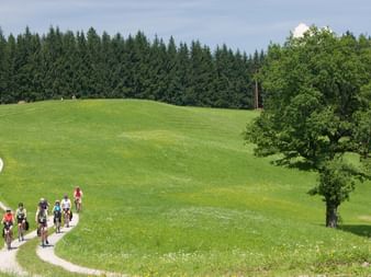 Radurlaub Österreich
