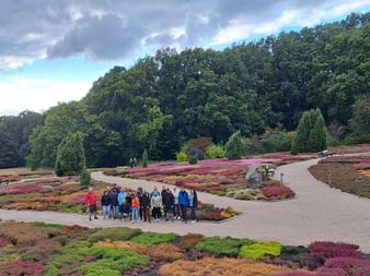 Gruppe von Menschen auf einem geschwungenen Weg in der Lüneburger Heide mit bunter Heide in Rosa und Lila, umgeben von grünen Bäumen unter bewölktem Himmel.