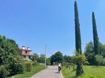 Radlerin fährt auf asphaltiertem Weg durch grüne Landschaft mit hohen Zypressen und einem Haus. Klarer blauer Himmel an sonnigem Tag auf Alpe-Adria-Route.