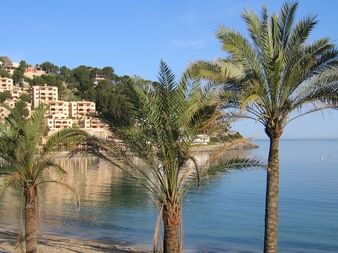 Radurlaub Mallorca