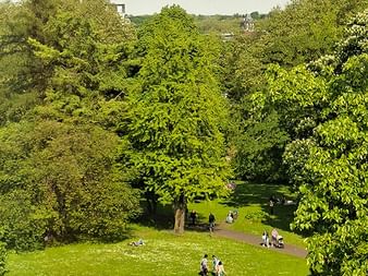 Luftaufnahme des Stadtparks in Essen mit üppigen grünen Bäumen, Menschen auf Rasen und Wegen, Gebäude im Hintergrund unter bewölktem Himmel.