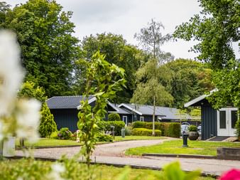 Gartenansicht dunkler Holzbungalows umgeben von grünen Rasenflächen und Bäumen in Gaasterland. Weiße Blumen rahmen den Vordergrund.
