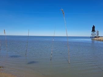 Ruhige Küstengewässer in Dorum-Neufeld mit Holzpfählen im Wasser, einem schwarzen Leuchtturm auf einem Steinpier und klarem blauen Himmel.