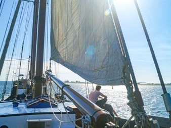 Mare fan Fryslan