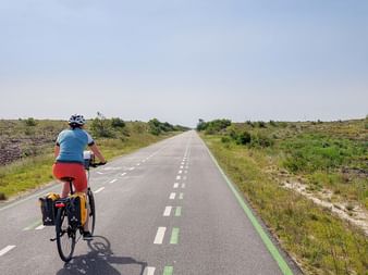 Radfahrer mit Packtaschen auf leerer Asphaltstraße durch spärliche Vegetation und niedrige Sträucher im Douro-Tal, Portugal.