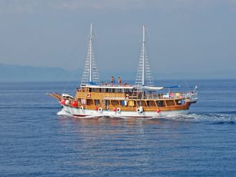 Sailing ship Aneta