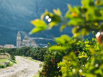 Schotterweg durch Orangenhaine führt zu einem Dorf mit Kirchturm in Valencia. Berge erheben sich im Hintergrund unter blauem Himmel.