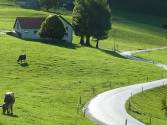 Radreisen Schweiz