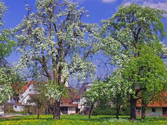 Radreise Bodensee