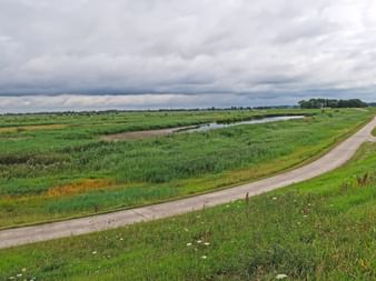 Kurvenreicher Radweg durch flache grüne IJsselmeer-Landschaft mit Kanal, Wiesen und bewölktem Himmel. Bäume in der Ferne sichtbar.