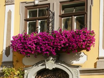 Radurlaub Weimar