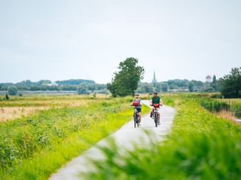 Zwei Radfahrer fahren auf einem asphaltierten Weg durch die grüne ostfriesische Landschaft mit Feldern, Bäumen und einem Kirchturm in der Ferne.