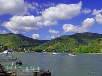 Bike Tour Rhine