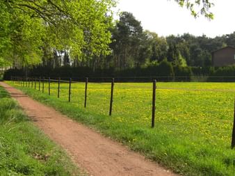 Radreisen Muensterland