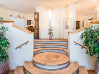 Heller Hoteleingang mit geschwungener Treppe, Holzgeländern, großen Topfpflanzen und Standuhr. Warmes Licht schafft einladende Atmosphäre.