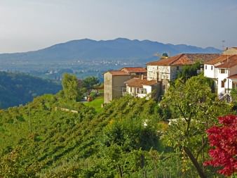 Bergdorf mit traditionellen italienischen Häusern und roten Ziegeldächern, umgeben von grünen Weinbergen. Berge im Hintergrund.
