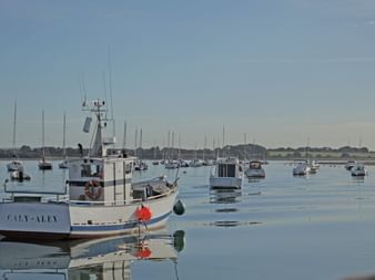 Radreise Golf von Morbihan