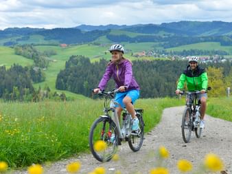 Radreisen Schweiz