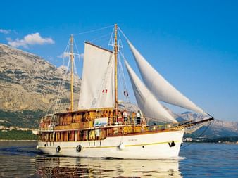 Sailing ship Dalmatino