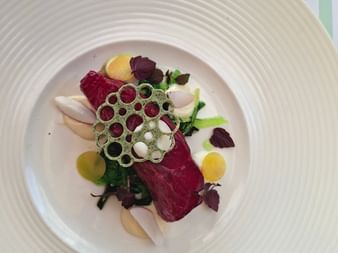 Kunstvolle Vorspeise mit Rindertatar, Lotuswurzel, gelben Saucenpunkten und frischem Grün auf weißem Teller in der Brasserie Maritime in Zeeland.