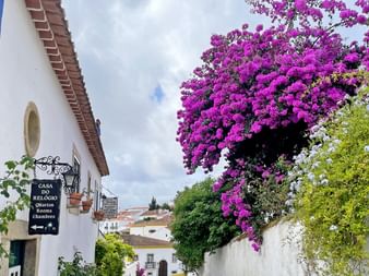 Enge Kopfsteinpflasterstraße in Óbidos mit weißen Gebäuden, blauen Akzenten und leuchtend lila Bougainvillea-Blüten über den Mauern.