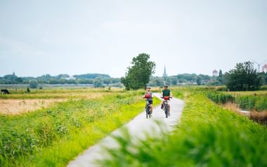 Zwei Radfahrer fahren auf einem asphaltierten Weg durch die grüne ostfriesische Landschaft mit Feldern, Bäumen und einem Kirchturm in der Ferne.