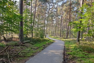 Radurlaub Veluwe Reisebericht