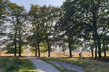 Reisebericht Veluwe Sternfahrt