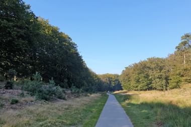 Reisebericht Veluwe