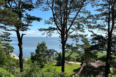 Blick auf das Kurische Haff durch hohe Kiefern. Ein Haus mit rotem Dach steht auf grüner Wiese, mit ruhigem blauen Wasser und ferner Küste.